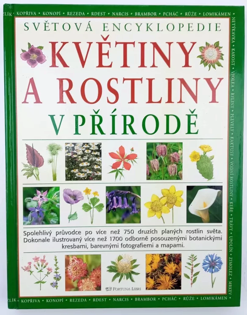 Květiny a rostliny v přírodě (Mick Lavelle, 2008)