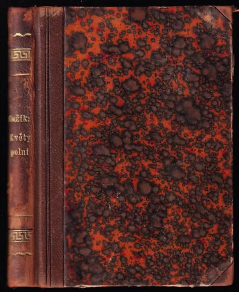 Levně Květy polní (Augustin Eugen Mužík, 1887)