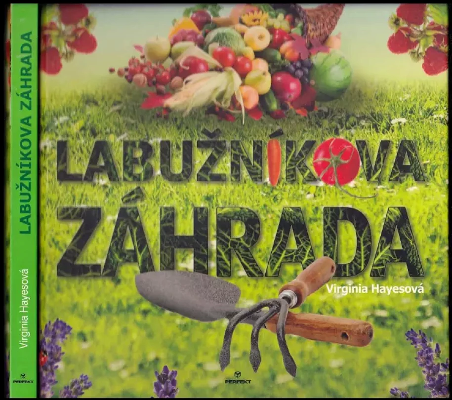 Levně Labužníkova záhrada (Virginia Hayes, 2009)