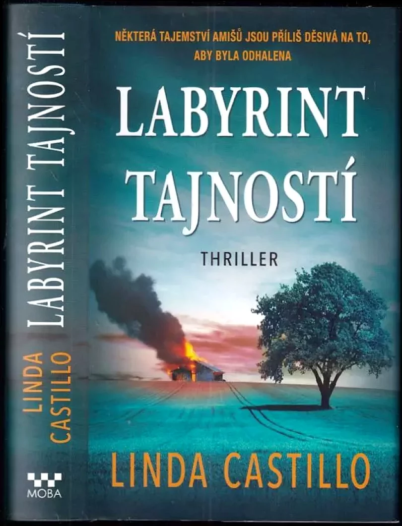 Levně Labyrint tajností (Linda Castillo, 2021)