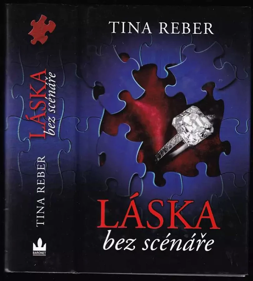 Levně Láska bez scénáře (Tina Reber, 2014)
