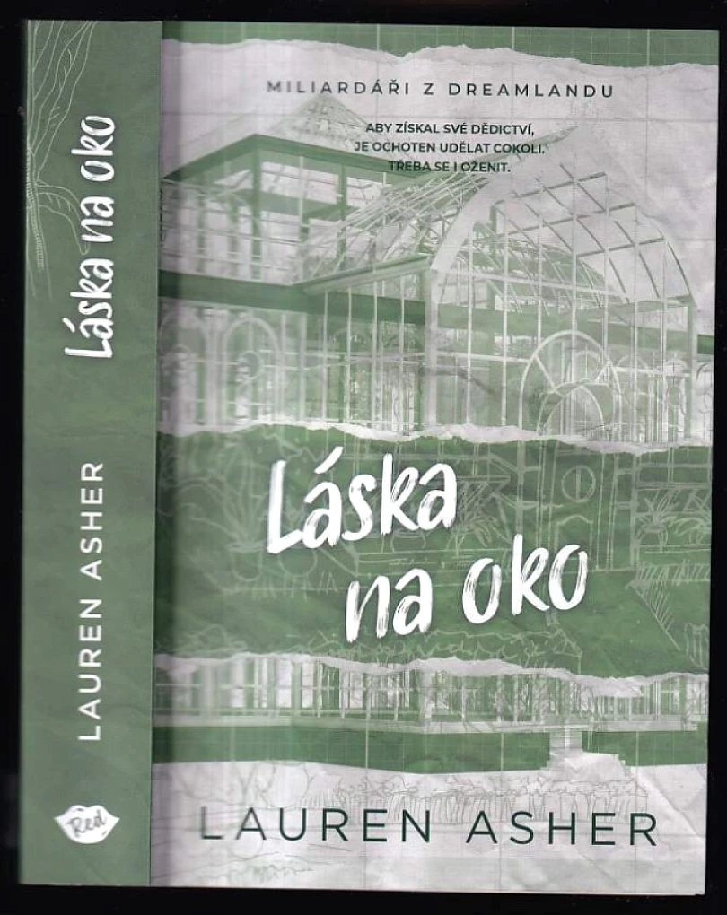 Levně Láska na oko (Lauren Asher, 2024)