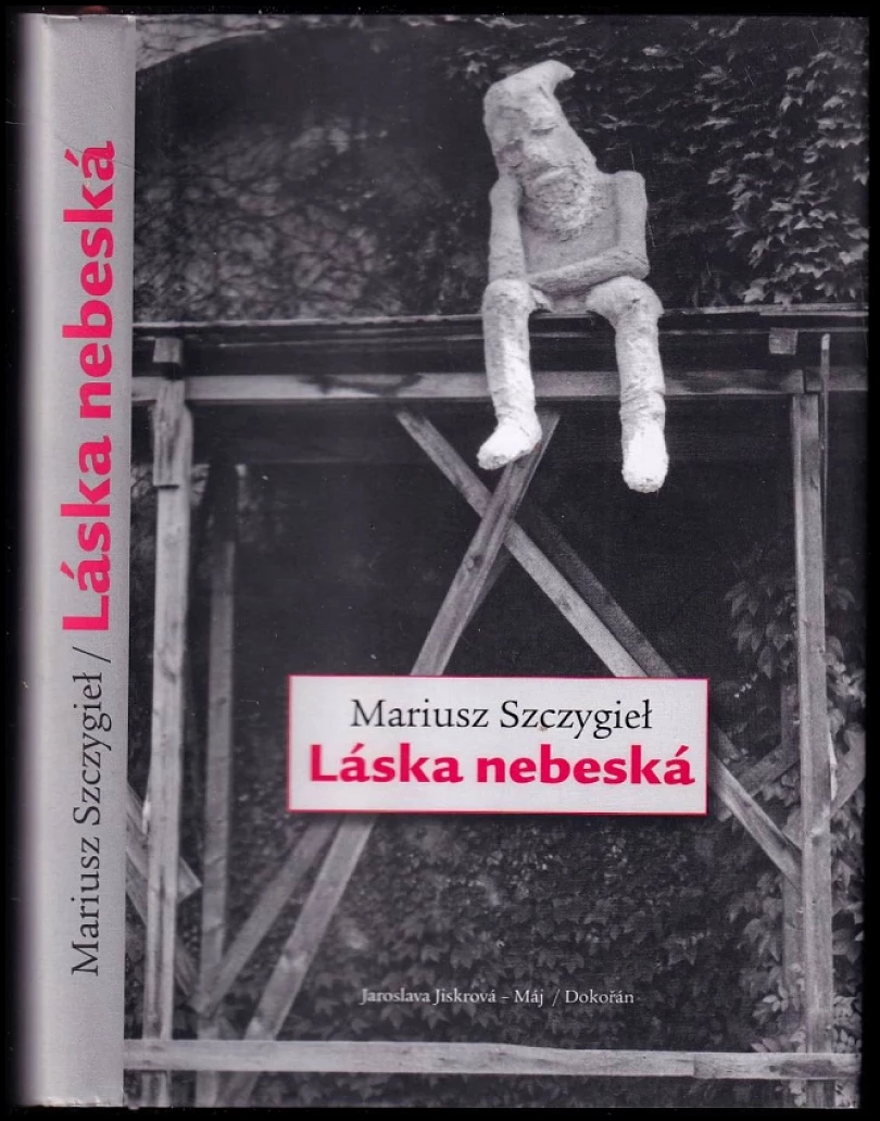 Levně Láska nebeská (Mariusz Szczygieł, 2012)