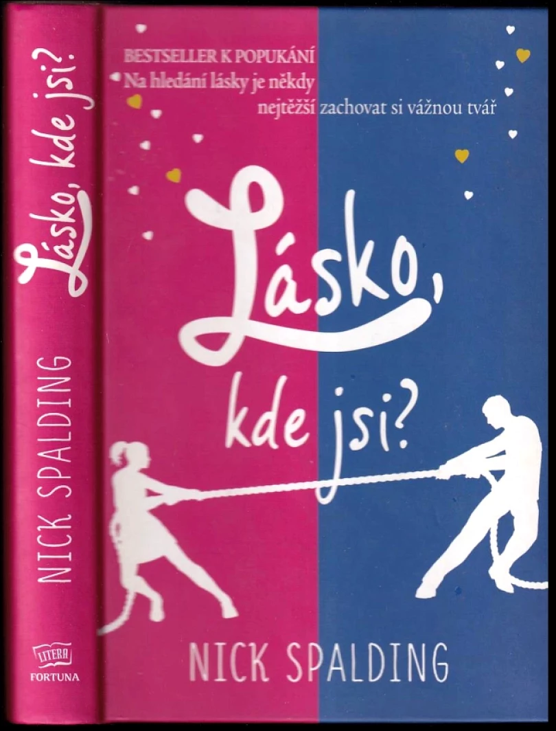 Lásko, kde jsi? (Nick Spalding, 2013)
