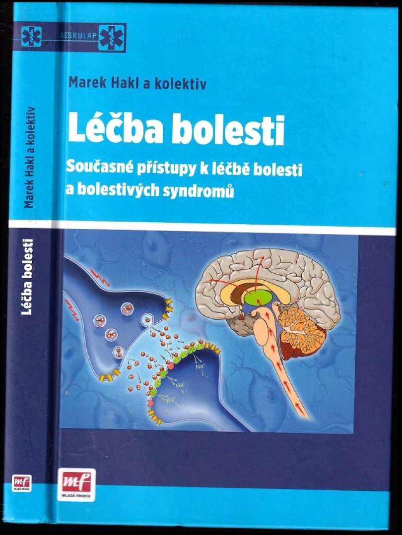 Levně Léčba bolesti (Marek Hakl, 2011)