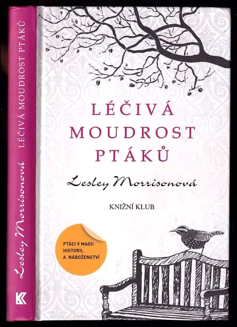 Levně Léčivá moudrost ptáků (Lesley Morrison, 2012)
