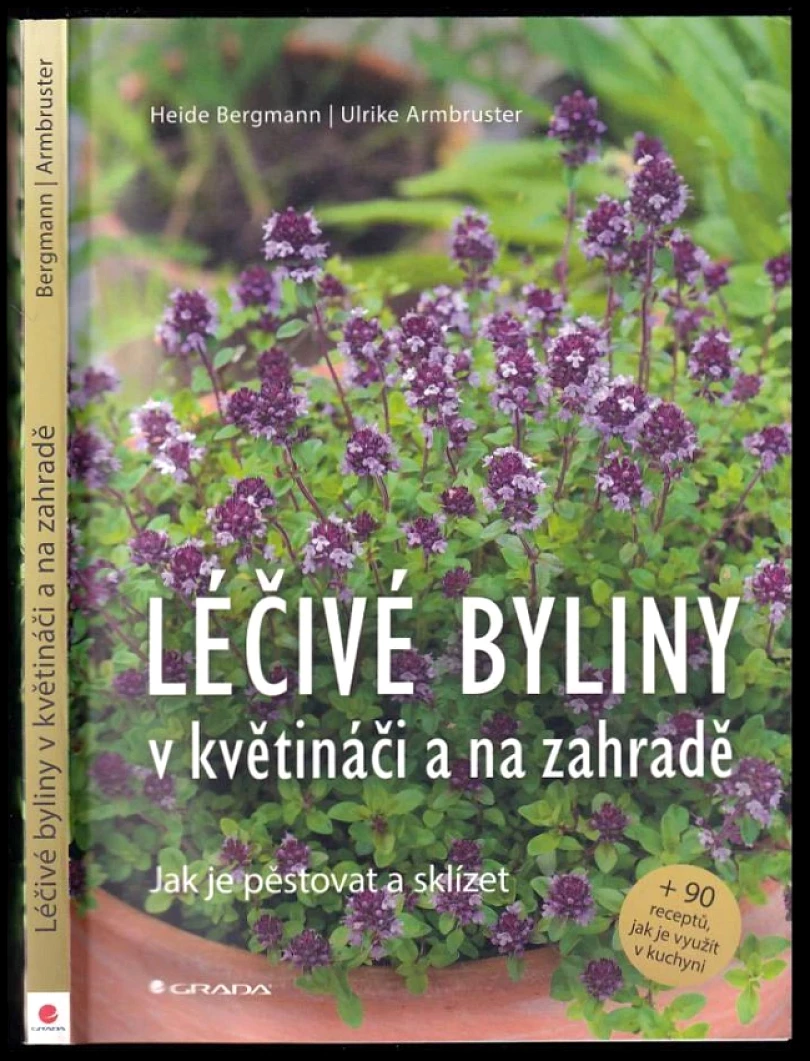 Levně Léčivé byliny v květináči a na zahradě (Heide Bergmann, 2020)