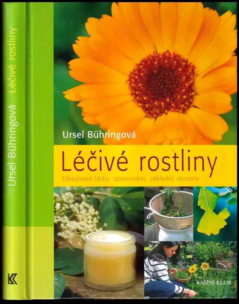 Levně Léčivé rostliny (Ursel Bühring, 2010)