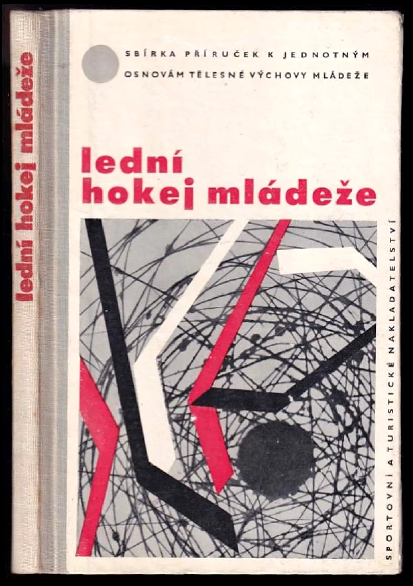 Lední hokej mládeže (Zdeněk Závodský, 1963)