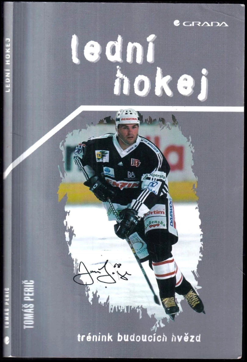 Lední hokej (Tomáš Perič, 2002)