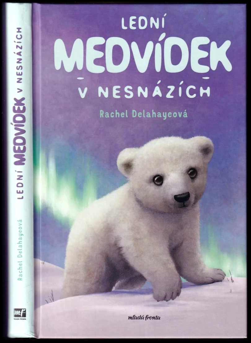Levně Lední medvídek v nesnázích (Rachel Delahaye, 2024)