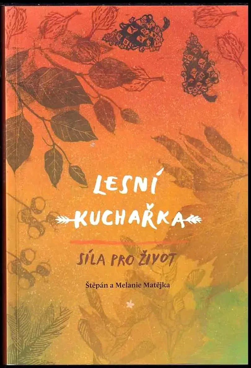 Lesní kuchařka (Štěpán Matějka, 2017)