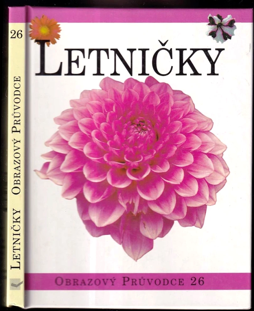 Letničky (, 1999)