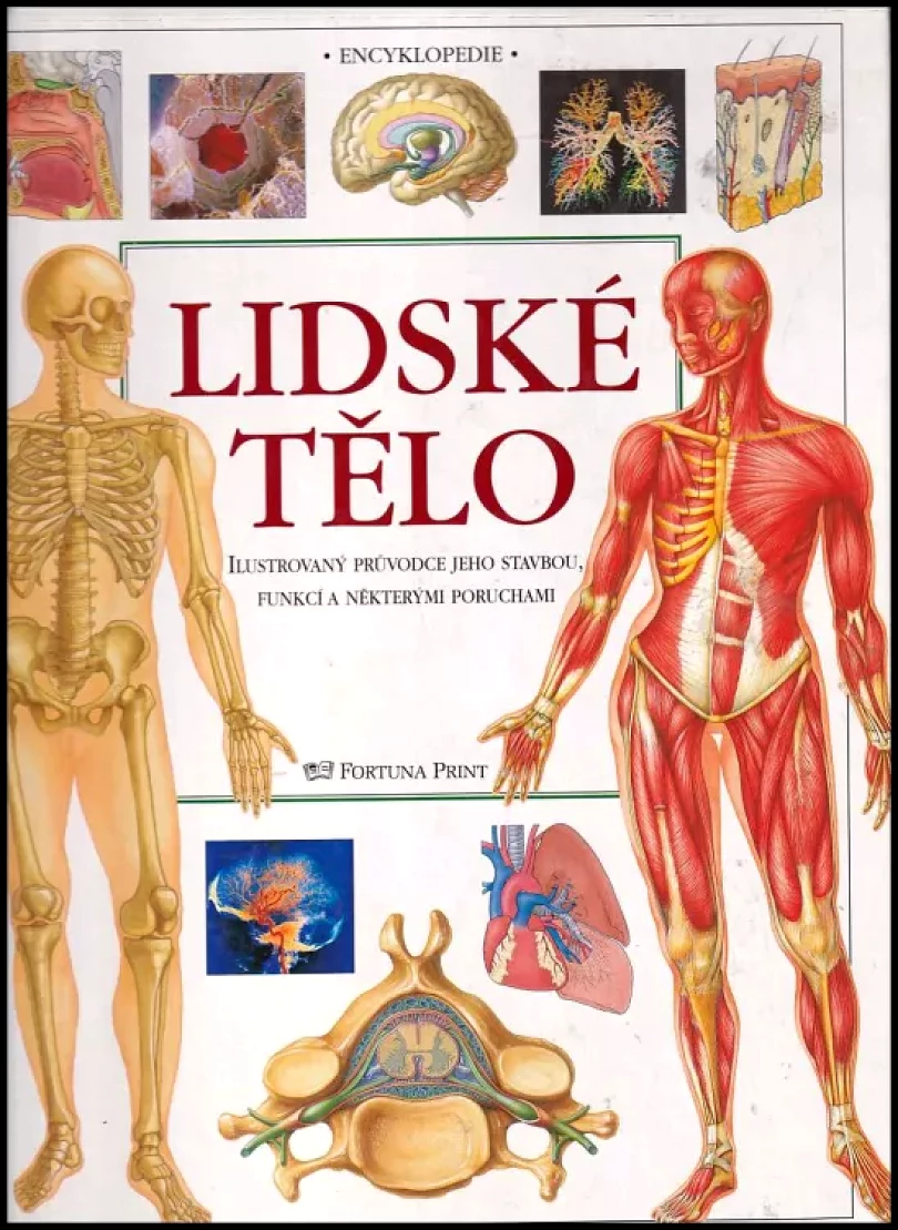 Levně Lidské tělo (Tony Smith, 2001)