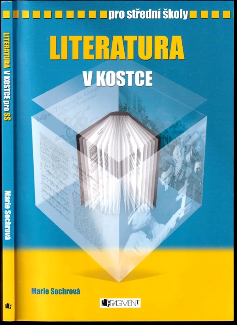 Levně Literatura v kostce (Marie Sochrová, 2008)