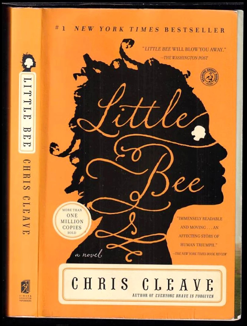 Levně Little Bee (Chris Cleave, 2010)