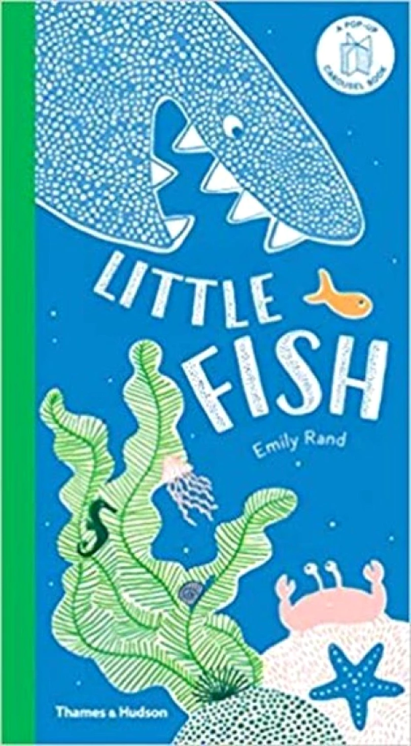 Little Fish : A Carousel Book (Emily Rand, 2019)