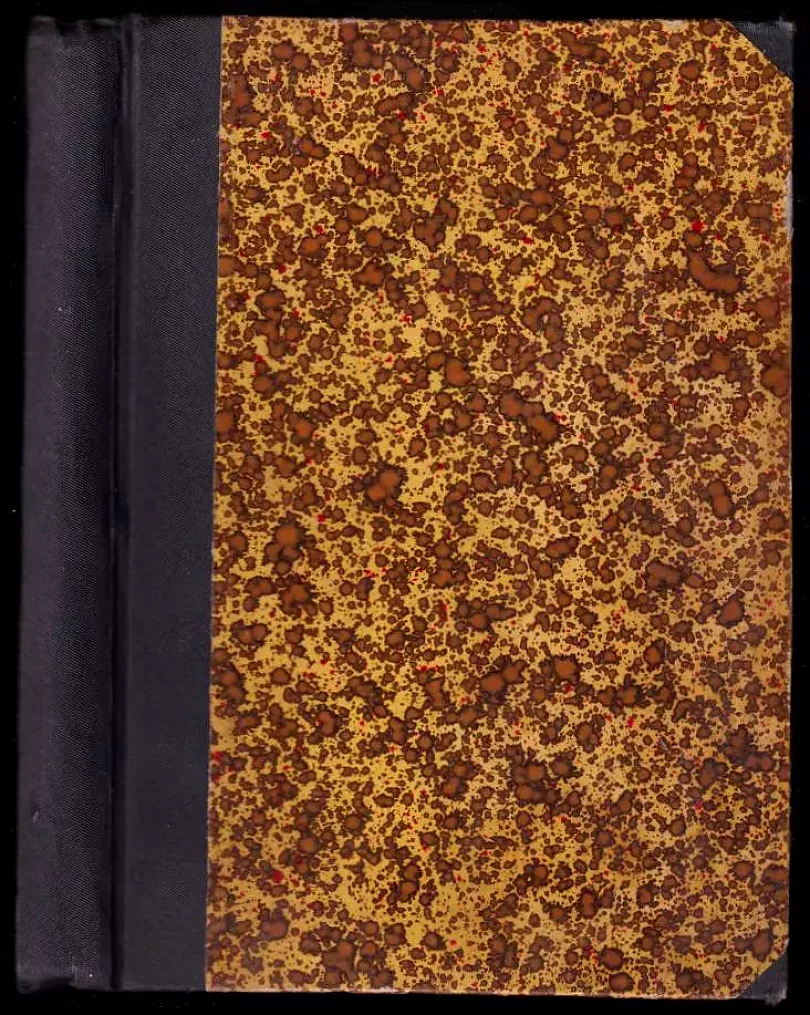 Levně Lodivod dunajský (Jules Verne, 1909)