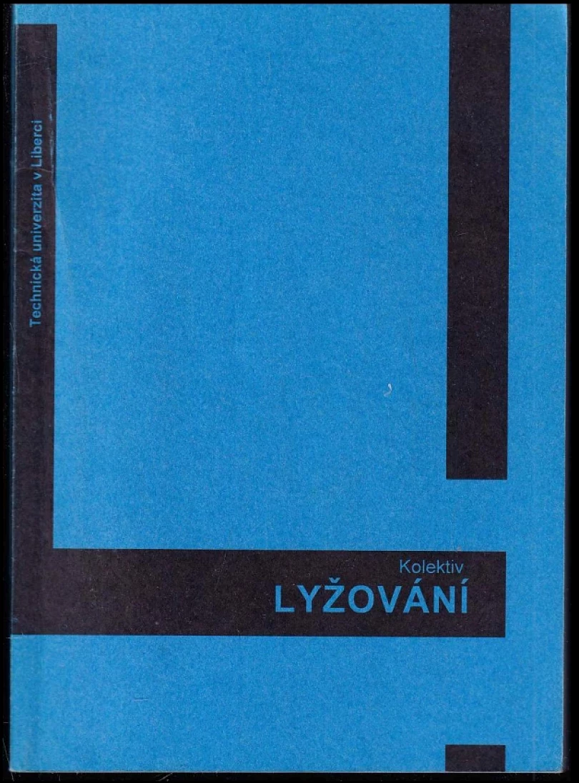 Lyžování (Jiří Dygrín, 2005)