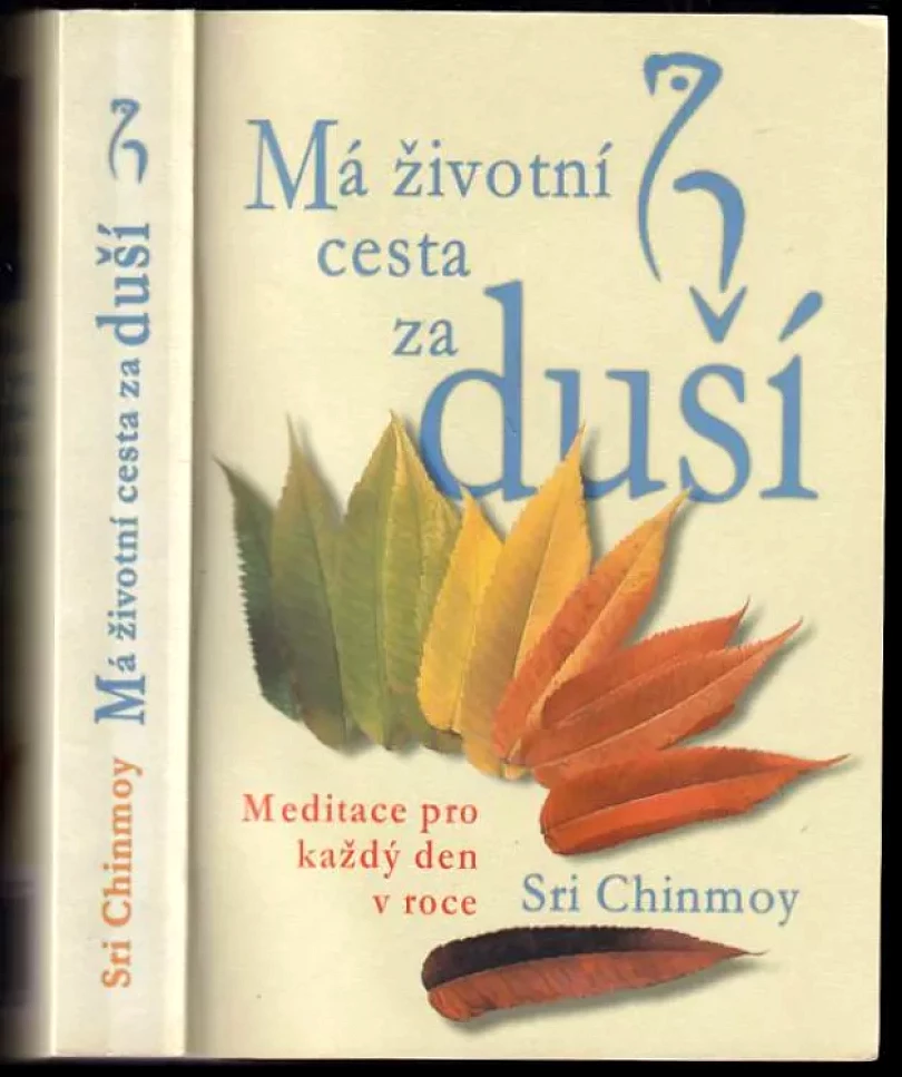 Má životní cesta za duší (Sri Chinmoy, 1999)