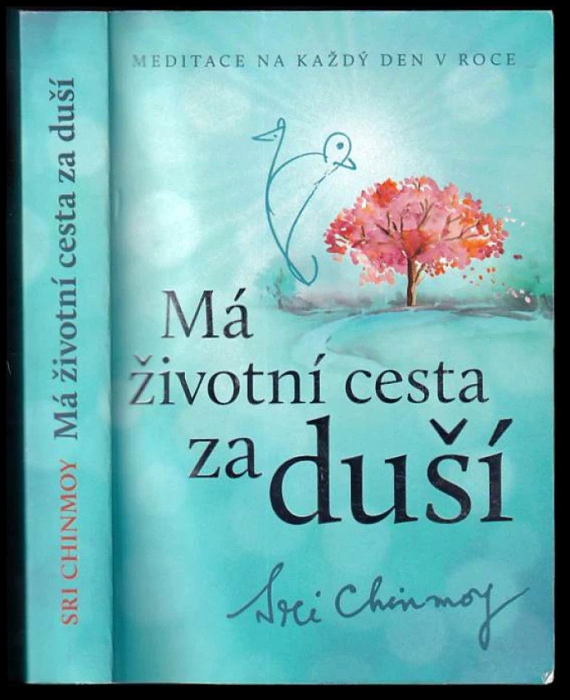 Levně Má životní cesta za duší (Sri Chinmoy, 2014)