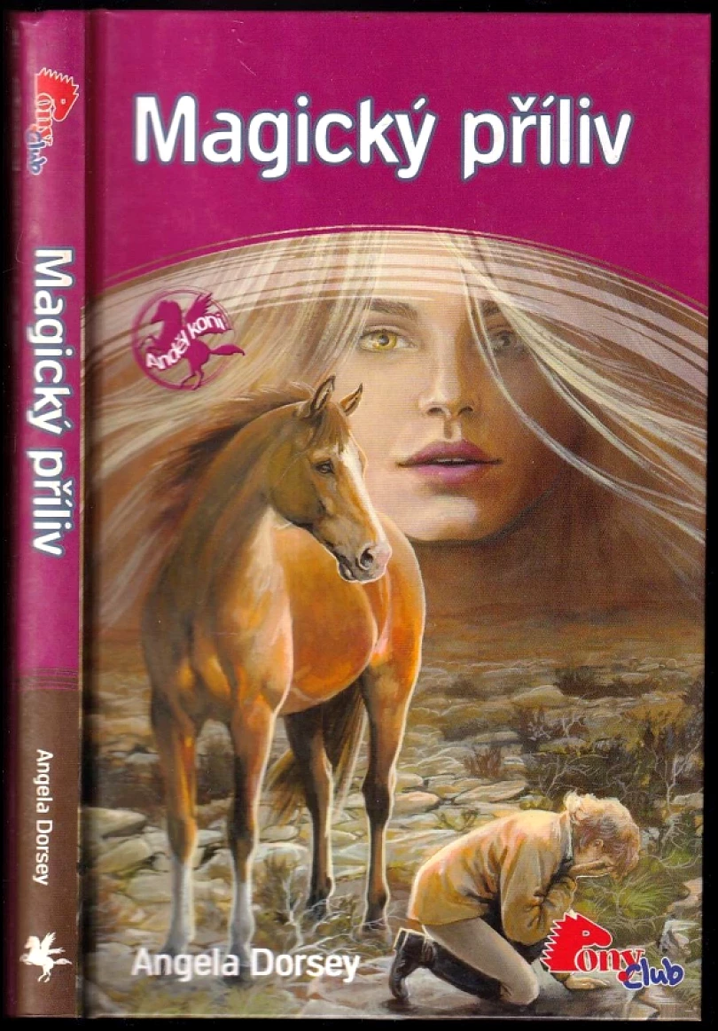 Levně Magický příliv (Angela Dorsey, 2007)