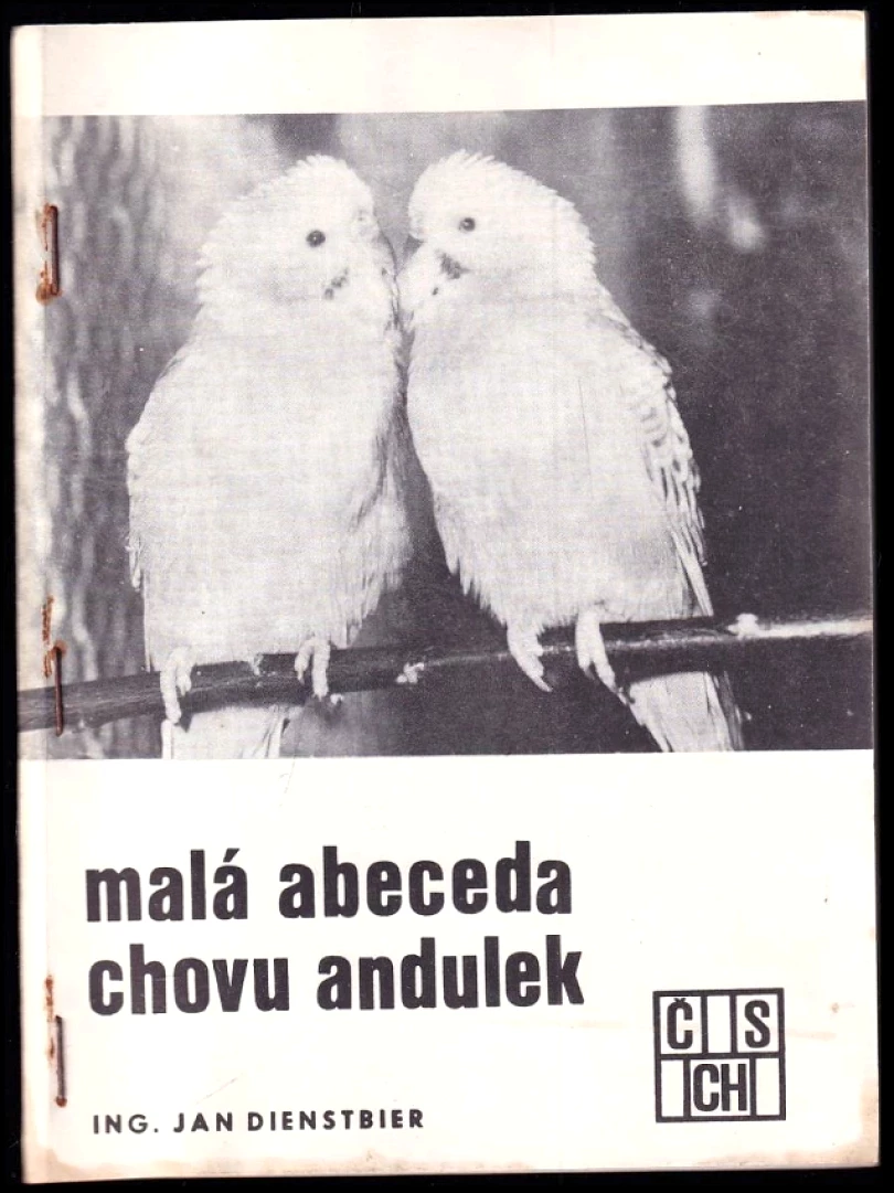 Levně Malá abeceda chovu andulek (Jan Dienstbier, 1981)