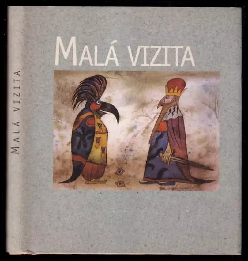 Malá vizita (Martin Bojar, 2005)