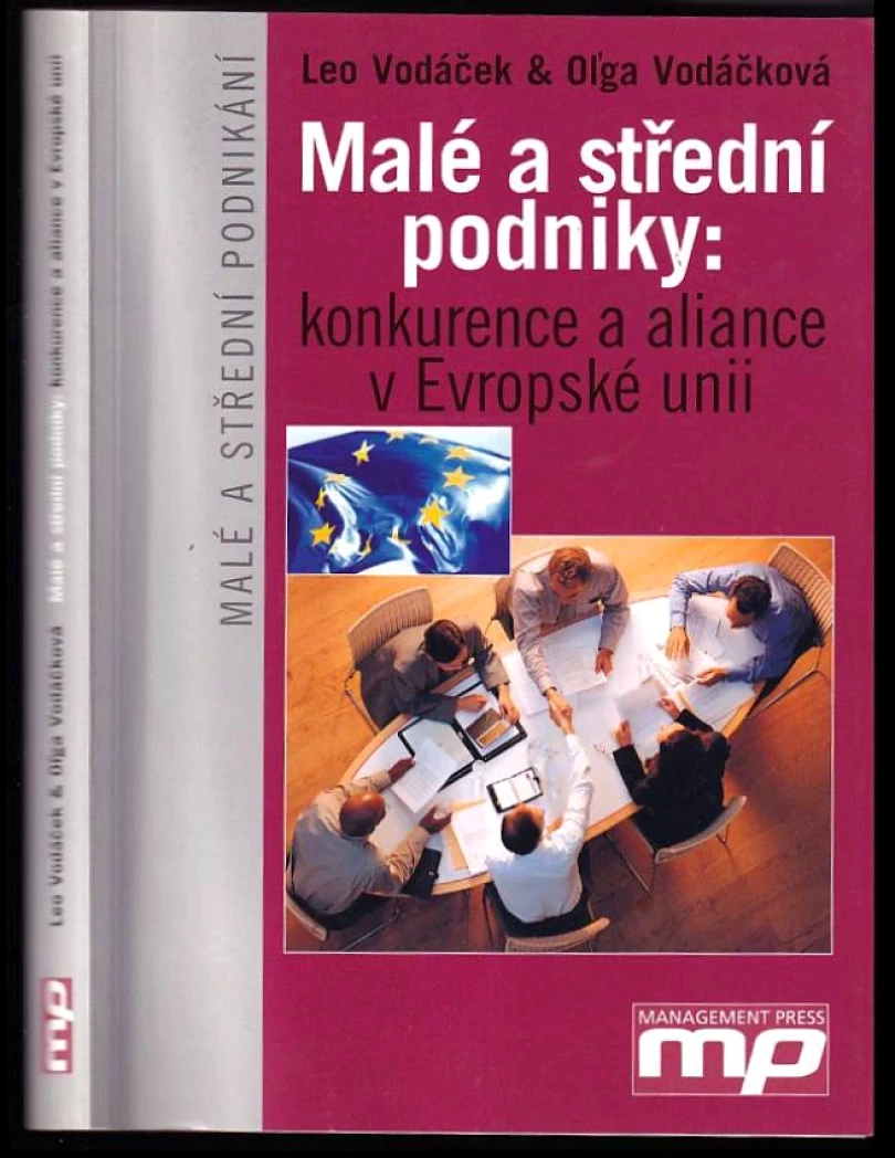 Levně Malé a střední podniky (Leo Vodáček, 2004)