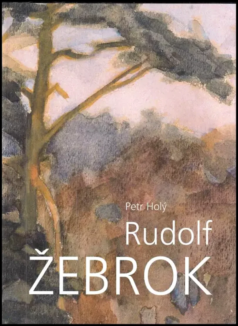 Levně Malíř Rudolf Žebrok (Petr Holý, 2002)
