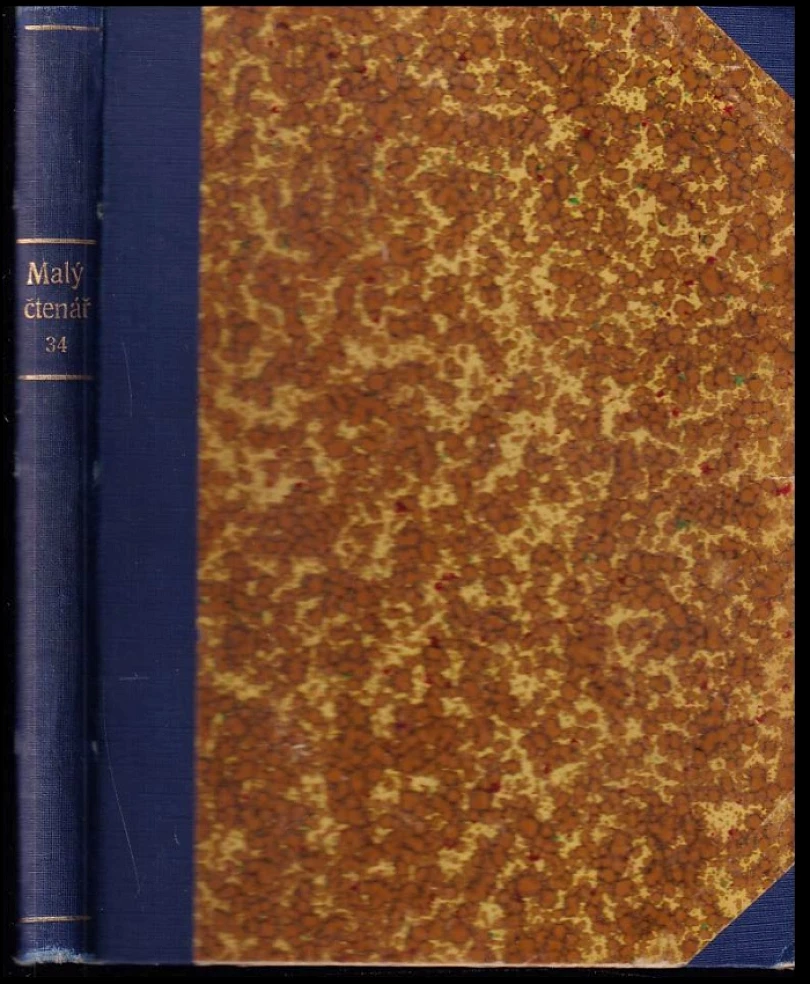 Levně Malý čtenář (Josef Mánes, 1915)