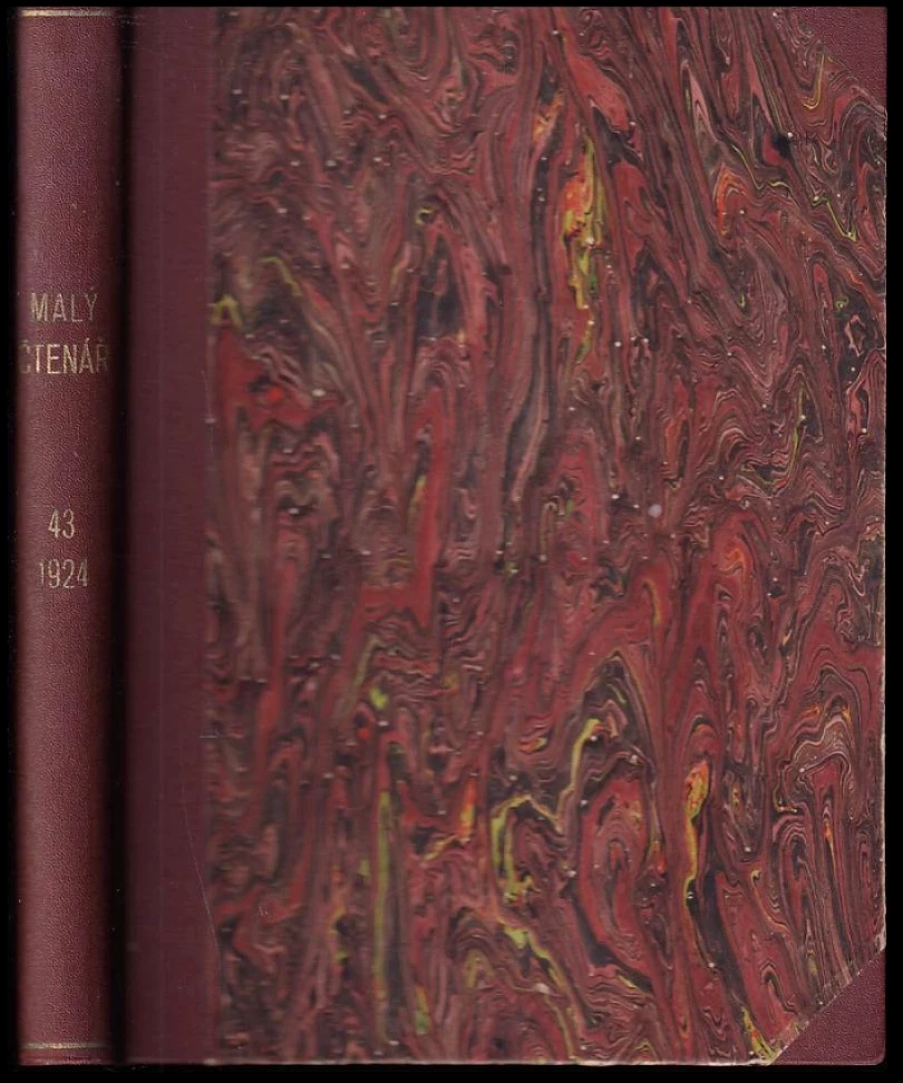 Levně Malý čtenář (Josef Mánes, 1924)