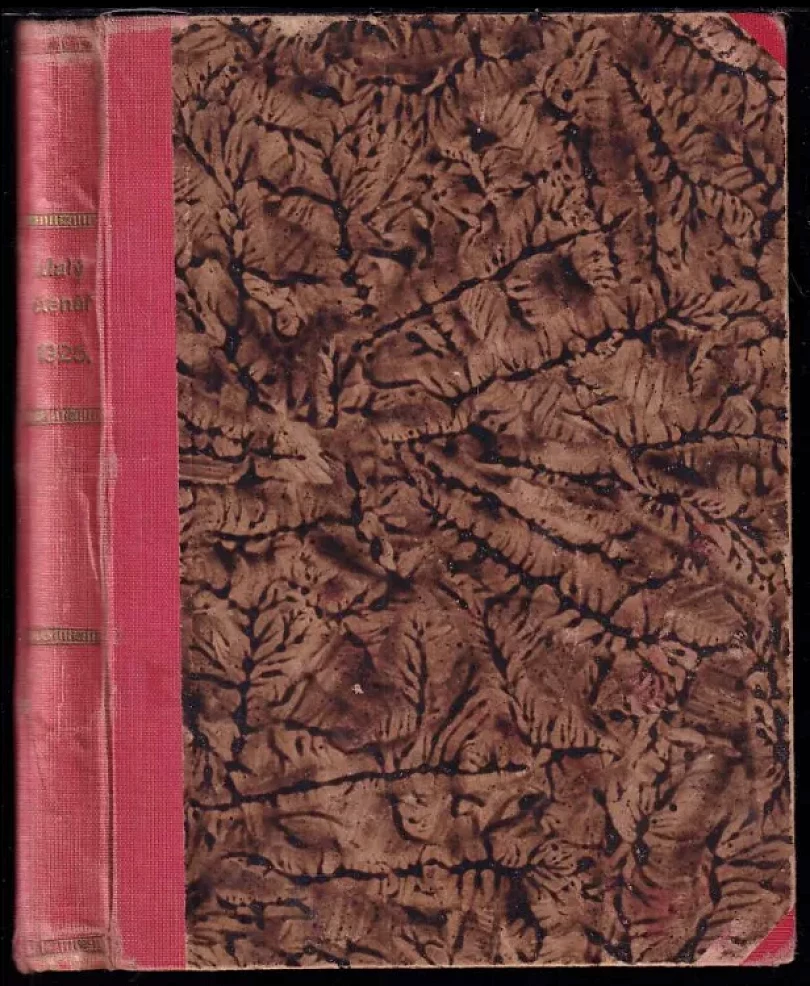 Levně Malý čtenář (Josef Mánes, 1922)