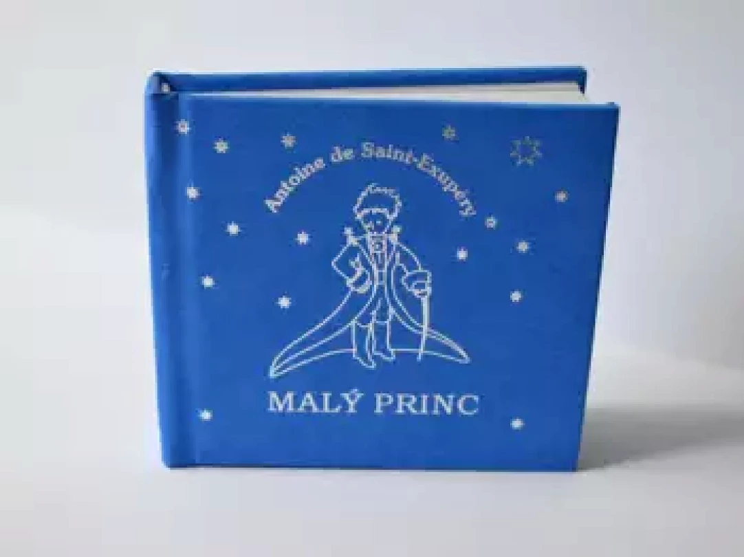 Levně Malý princ Antoine de Saint-Exupéry (de, 2023)