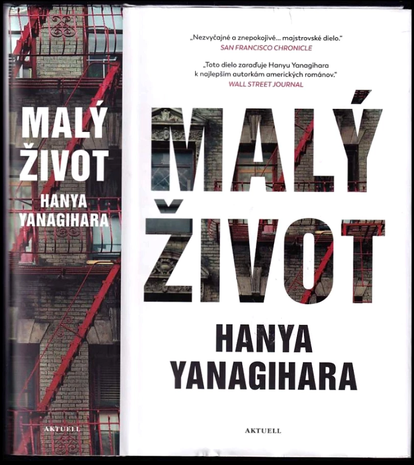Malý život (Hanya Yanagihara, 2019)