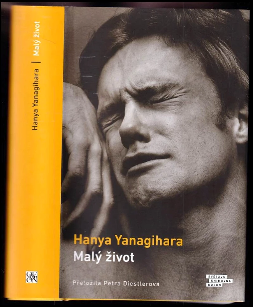 Malý život (Hanya Yanagihara, 2022)