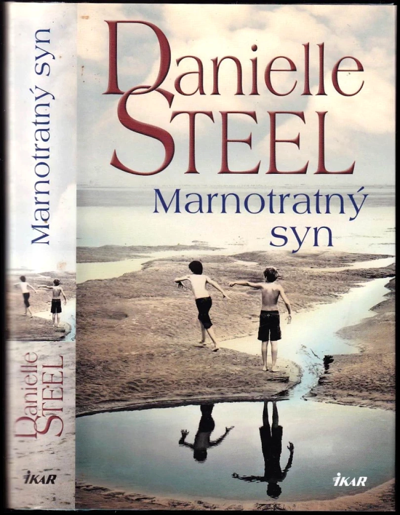 Levně Marnotratný syn (Danielle Steel, 2015)