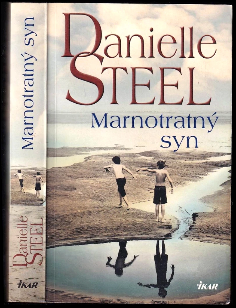 Levně Marnotratný syn (Danielle Steel, 2019)