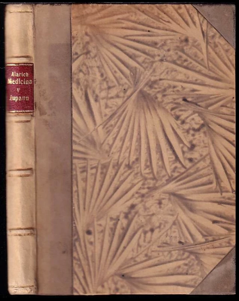 Medicina v županu DEDIKACE Alarich (vl. jménem Oldřich Hlaváč) (Alarich, 1931)