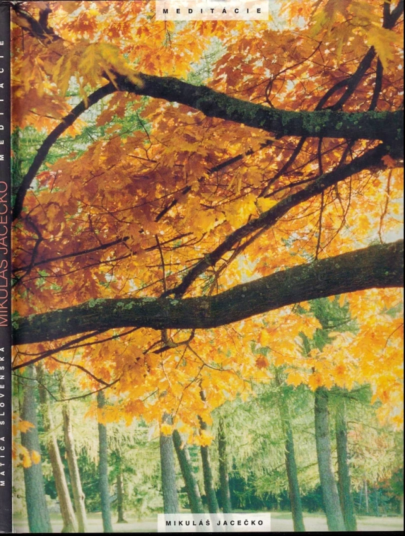 Meditácie (Mikuláš Jacečko, 2005)
