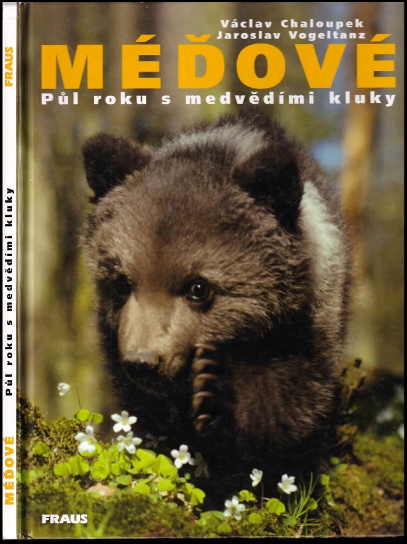 Levně Méďové (Václav Chaloupek, 2000)