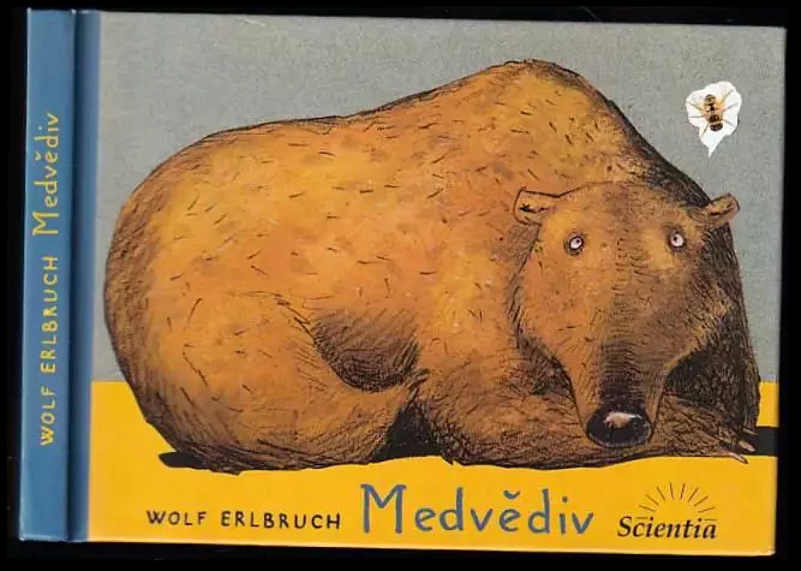 Levně Medvědiv (Wolf Erlbruch, 2003)