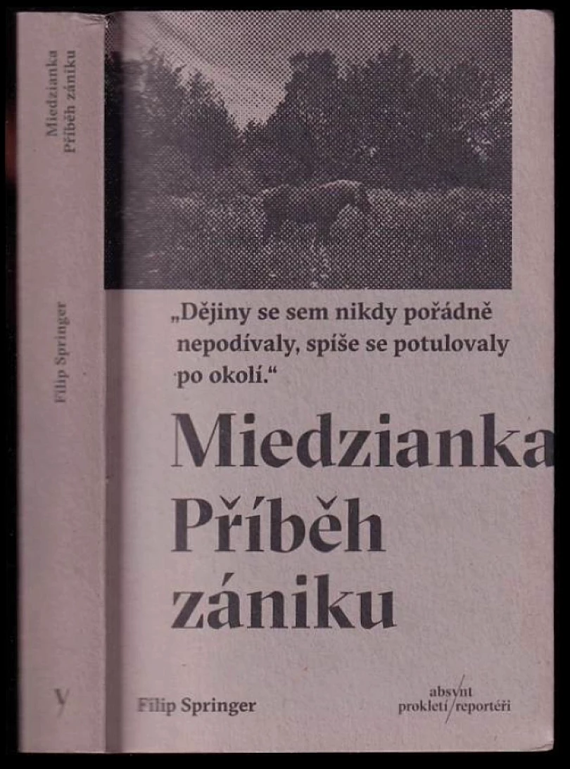 Medzianka (Filip Springer, 2017)
