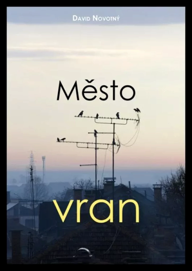 Levně Město vran (David Novotný, 2021)