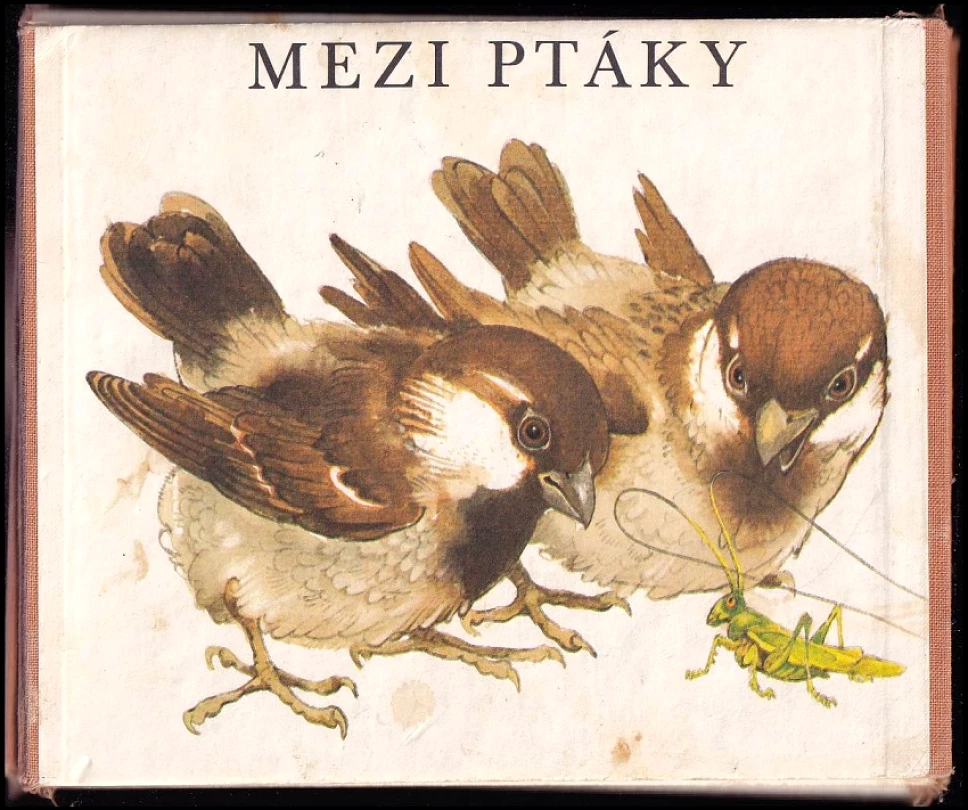 Levně Mezi ptáky (Dušan Roll, 1987)