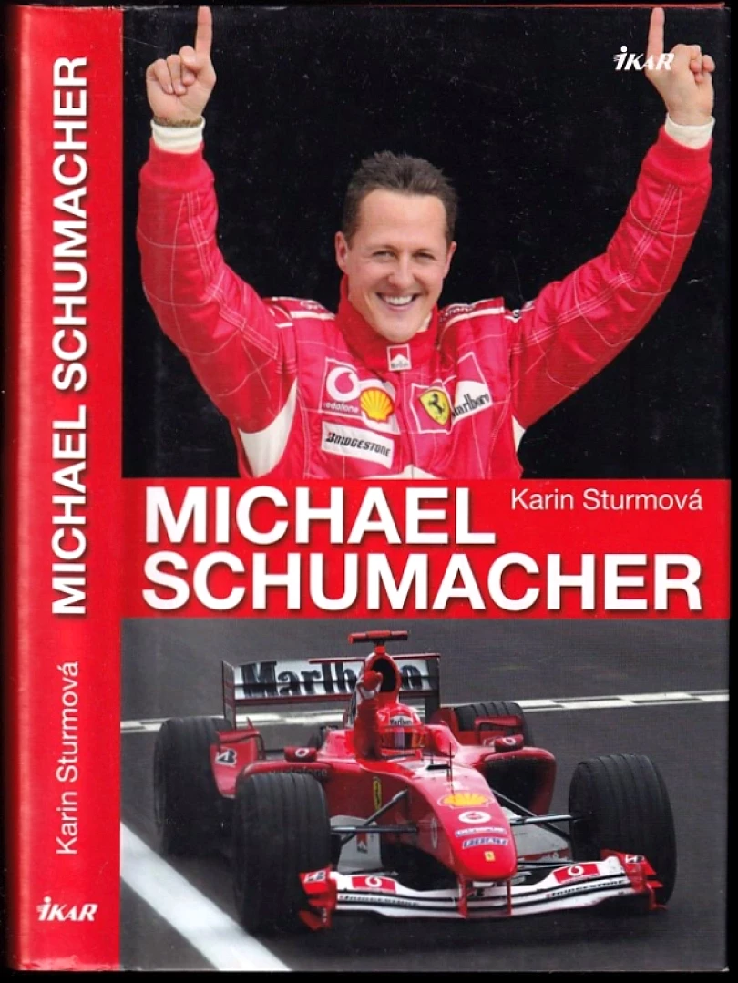 Michael Schumacher (Karin Sturm, 2014)