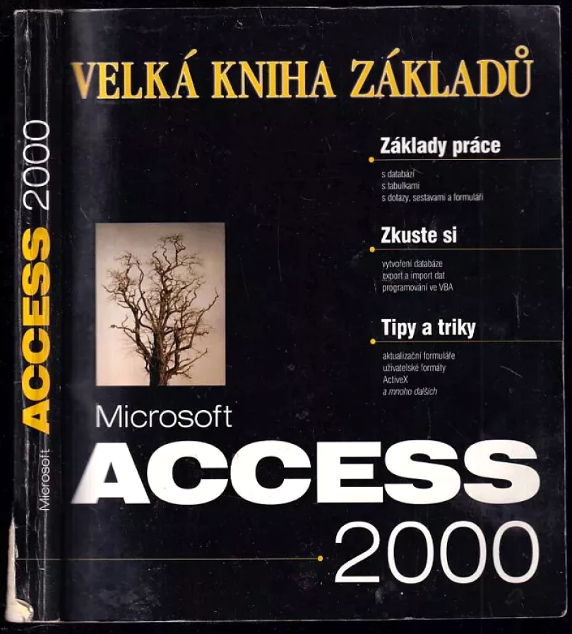Microsoft Access 2000 (Jan Pokorný, 1999)