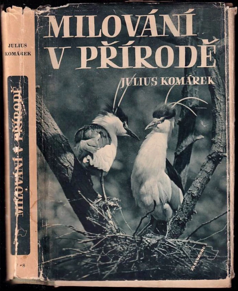 Milování v přírodě (Julius Komárek, 1947)