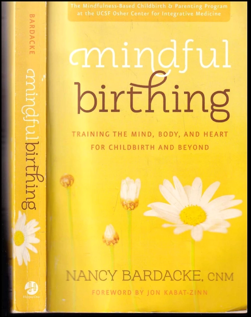 Levně Mindful Birthing (Nancy Bardacke, 2012)