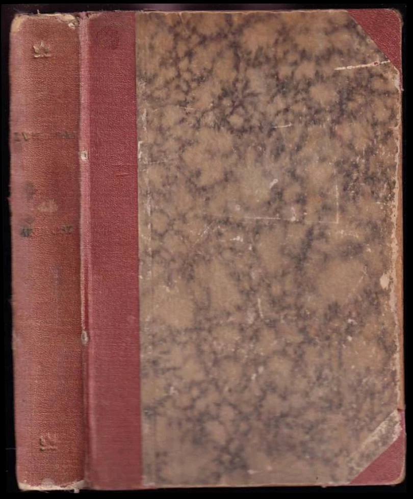 Levně Minulost (Božena Viková-Kunětická, 1919)